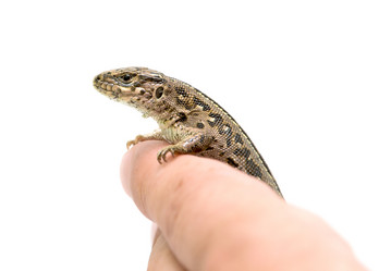 Similar image 1309935