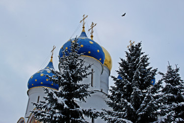 Similar image 1309944