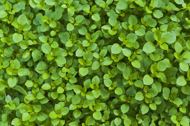 Similar image 1309954