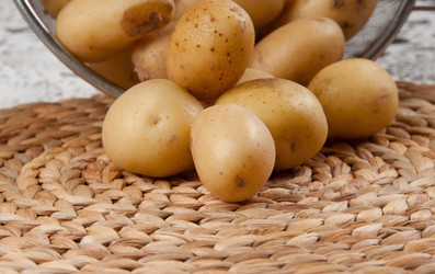 Similar image 1309995