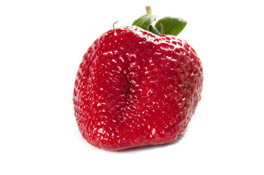 Similar image 1310002