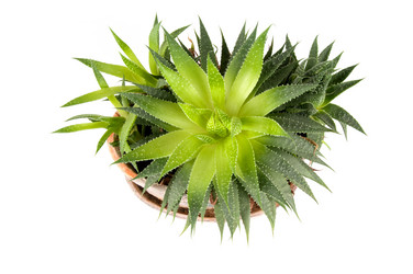 Similar image 1310020