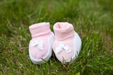 Similar image 1310037