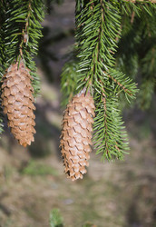 Similar image 1310039