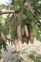 Similar image 1310040