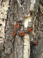 Similar image 1310049