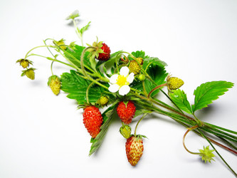 Similar image 1310052