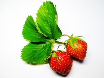 Similar image 1310053