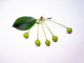 Similar image 1310107