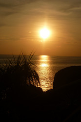 Similar image 1310112