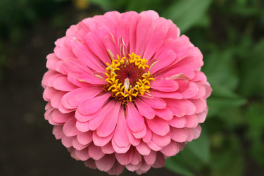 Similar image 1310119