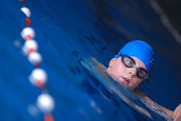 Similar image 1310232