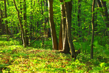 Similar image 1310317