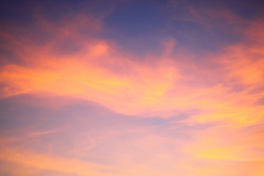 Similar image 1310318