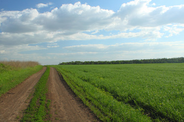 Similar image 1310319