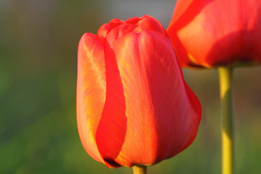 Similar image 1310321