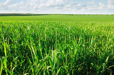 Similar image 1310359