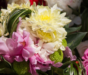 Similar image 1310393