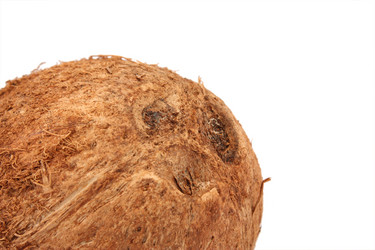 Similar image 1310431