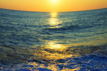 Similar image 1310443