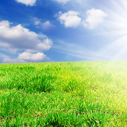 Similar image 1310465