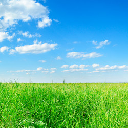 Similar image 1310472