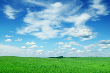 Similar image 1310476