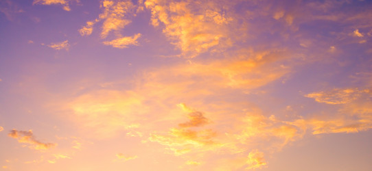 Similar image 1310481