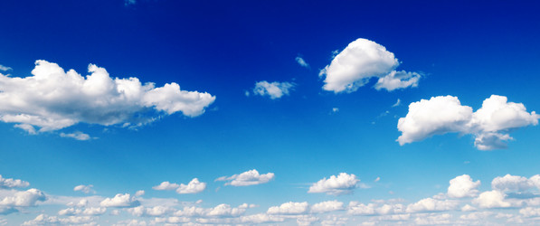 Similar image 1310500