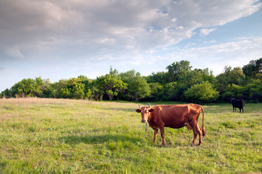 Similar image 1310536