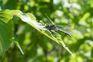 Similar image 1310537