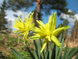 Similar image 1310815