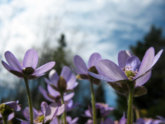 Similar image 1310816