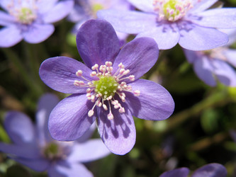 Similar image 1310818