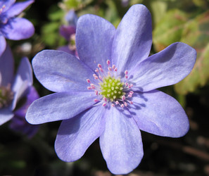 Similar image 1310819