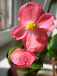 Similar image 1310820