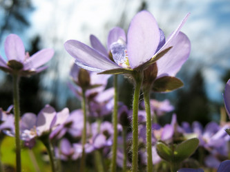 Similar image 1310821