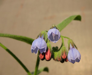 Similar image 1310849