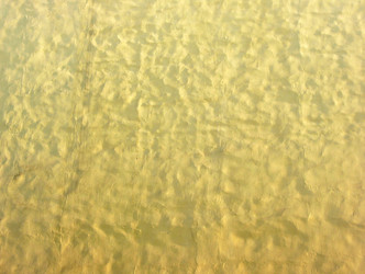 Similar image 1310851