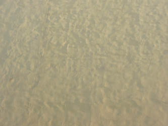 Similar image 1310852