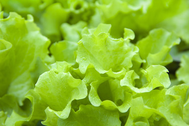 Similar image 1310864