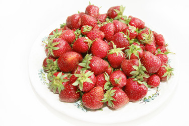 Similar image 1310926