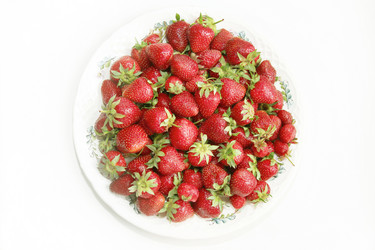 Similar image 1310927