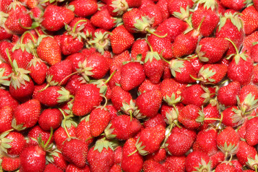 Similar image 1310948