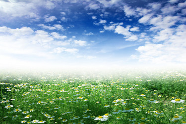 Similar image 1310953