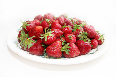 Similar image 1310954