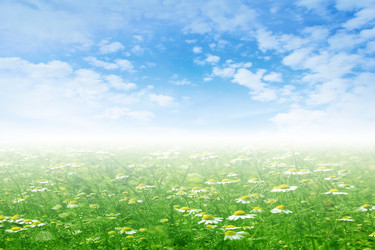 Similar image 1310955