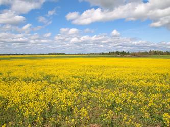 Similar image 1310979