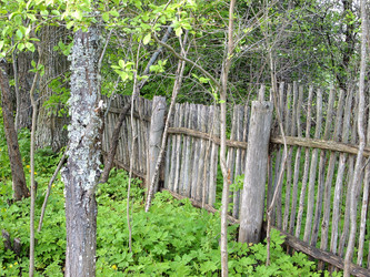 Similar image 1310981