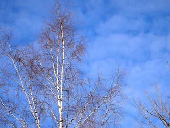 Similar image 1310982